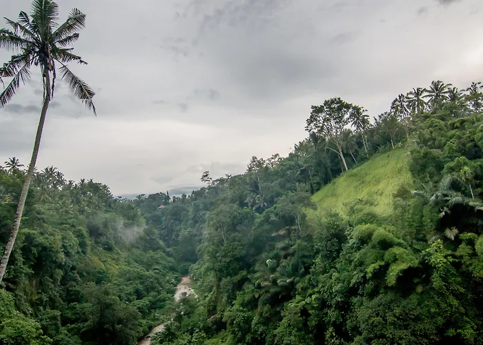 Ulun - Chse Certified